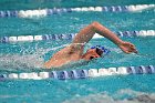 Swim vs Bentley  Wheaton College Swimming & Diving vs Bentley University. - Photo by Keith Nordstrom : Wheaton, Swimming & Diving